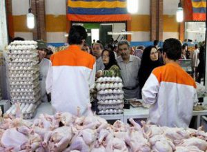 قیمت گوشت مرغ و تخم مرغ هیچگونه افزایشی ندارد