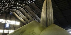 ایران در رتبه ۱۸ تولید شکر جهان