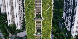 سنگاپور ، بزرگترین باغ عمودی جهان