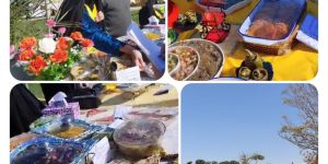 تلفیقی از رنگ، طعم و هنر در جشنواره غذای محلی و بازارچه مشاغل خانگی فولادشهر