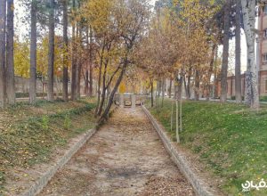 مادی اصفهان