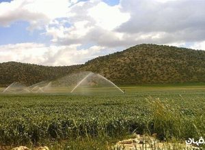 امنیت غذایی
