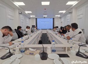 شرکت پتروشیمی هنگام